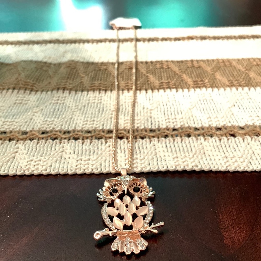 Long copper necklace with copper and faux diamond owl charm.